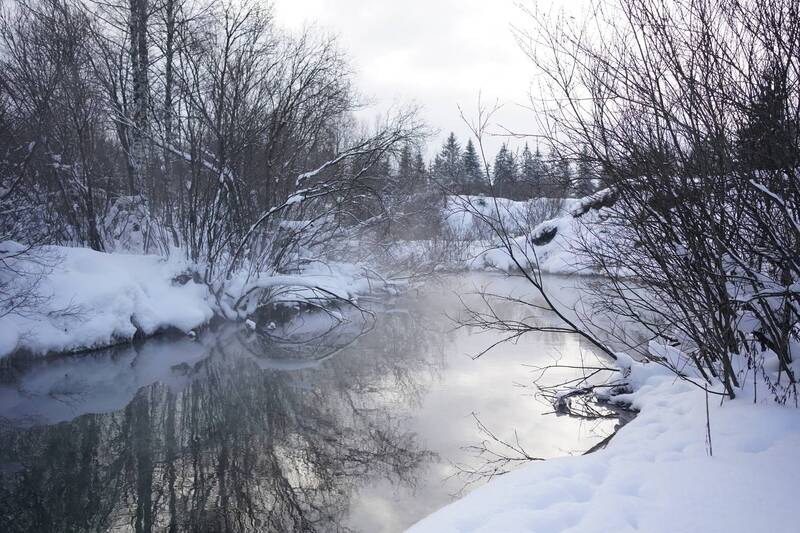 Река Ижора фото превью