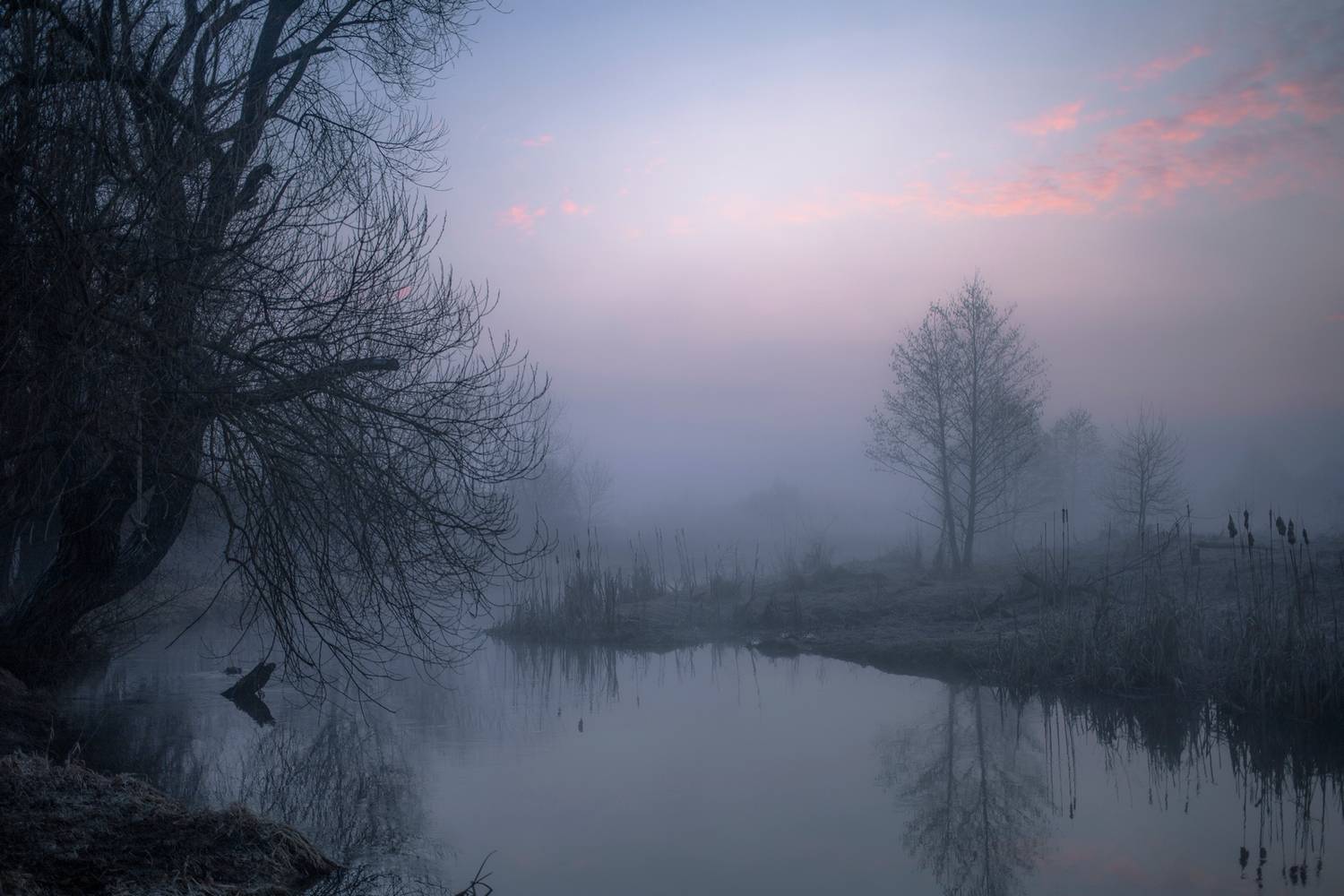 , Игорь Денисов