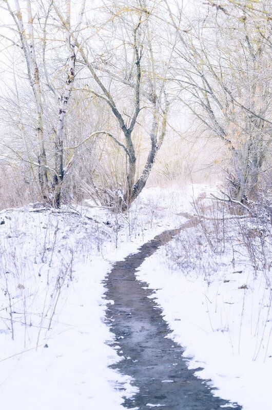 Весенняя пастель..... фото превью