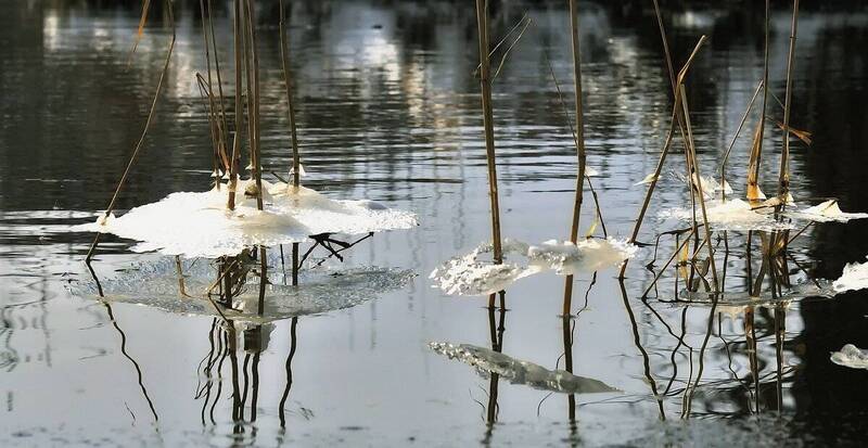 Танец....Весны.....балерины...в пачках... фото превью