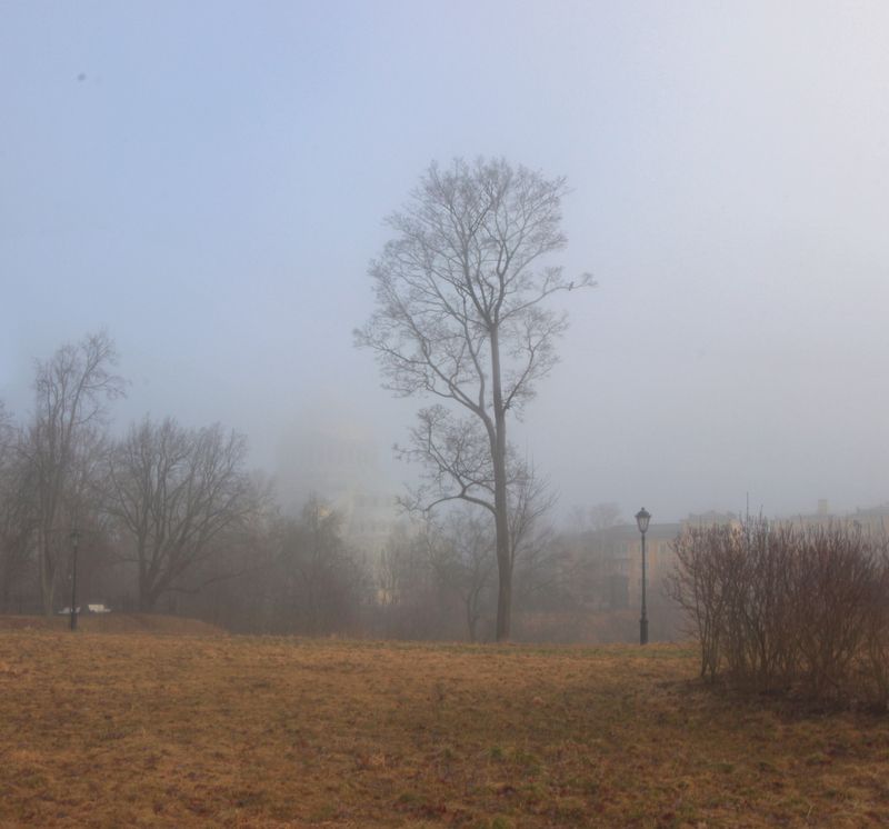 *** фото превью