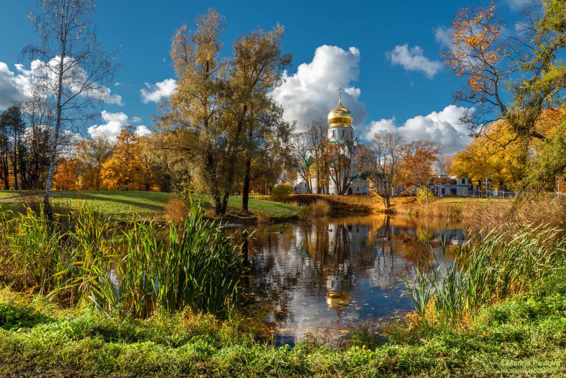 пейзаж, природа, осенний парк, фермский парк, собор феодоровской иконы божией матери, город пушкин, царское село, золотая осень, Павлова Марина
