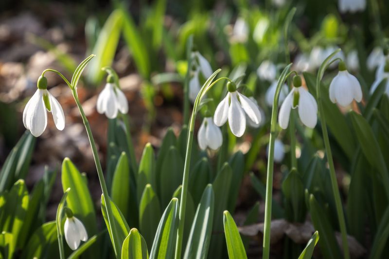 Крым  фото превью