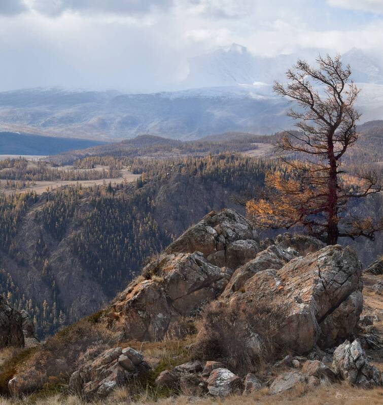 Осенний Алтай фото превью