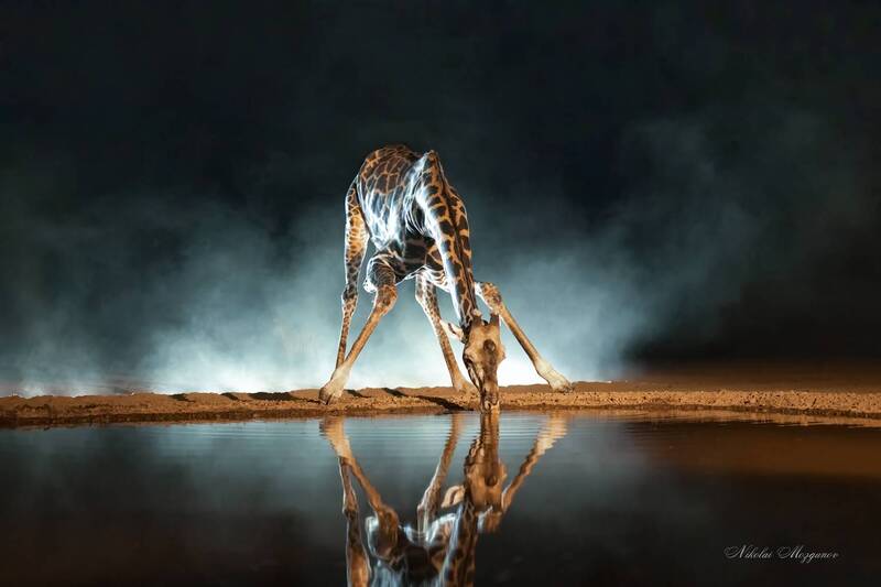 Кения... фото превью