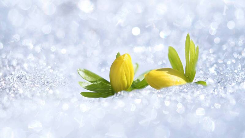 Выход силой фото превью