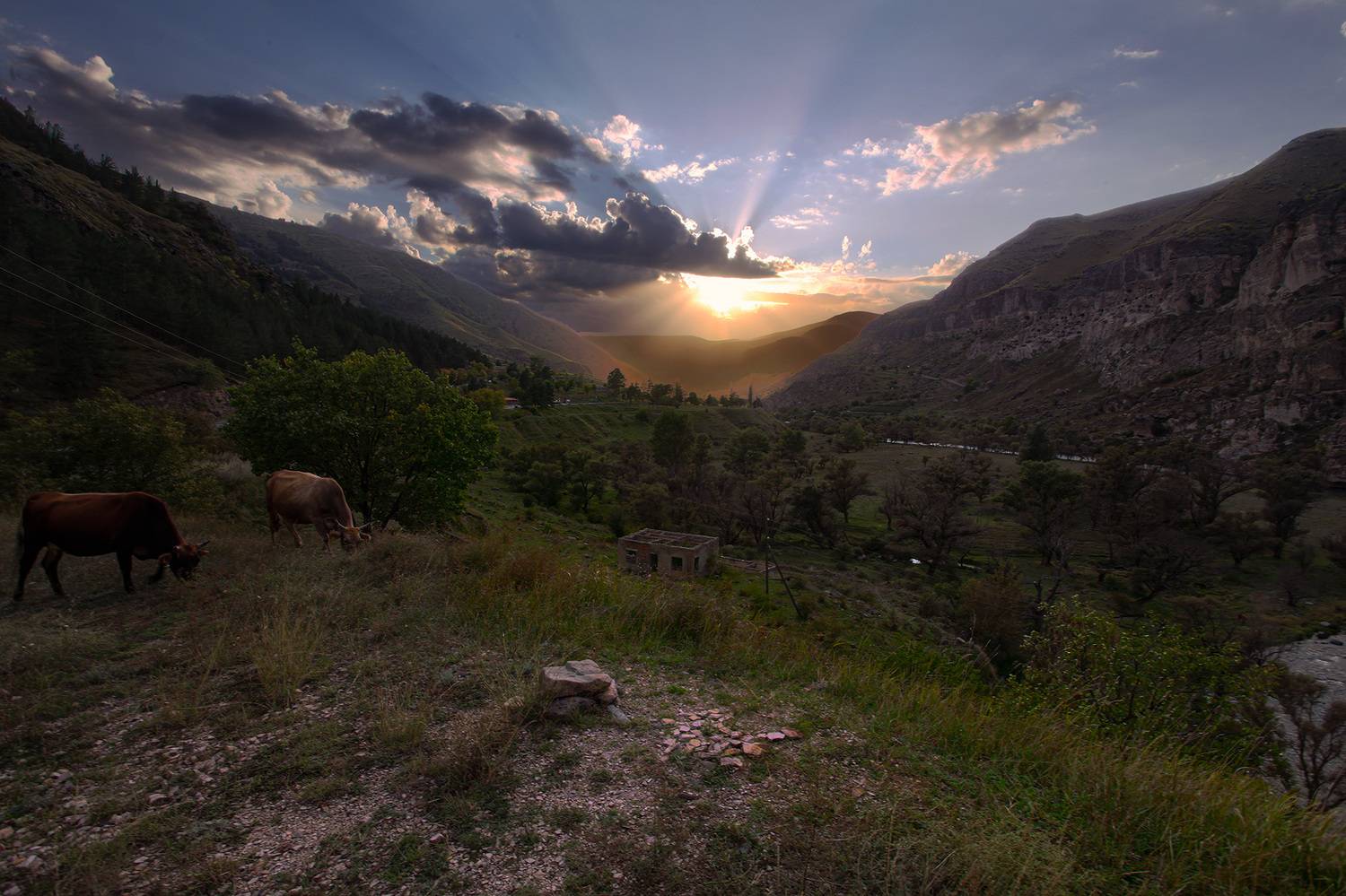 , Васенков Геннадий