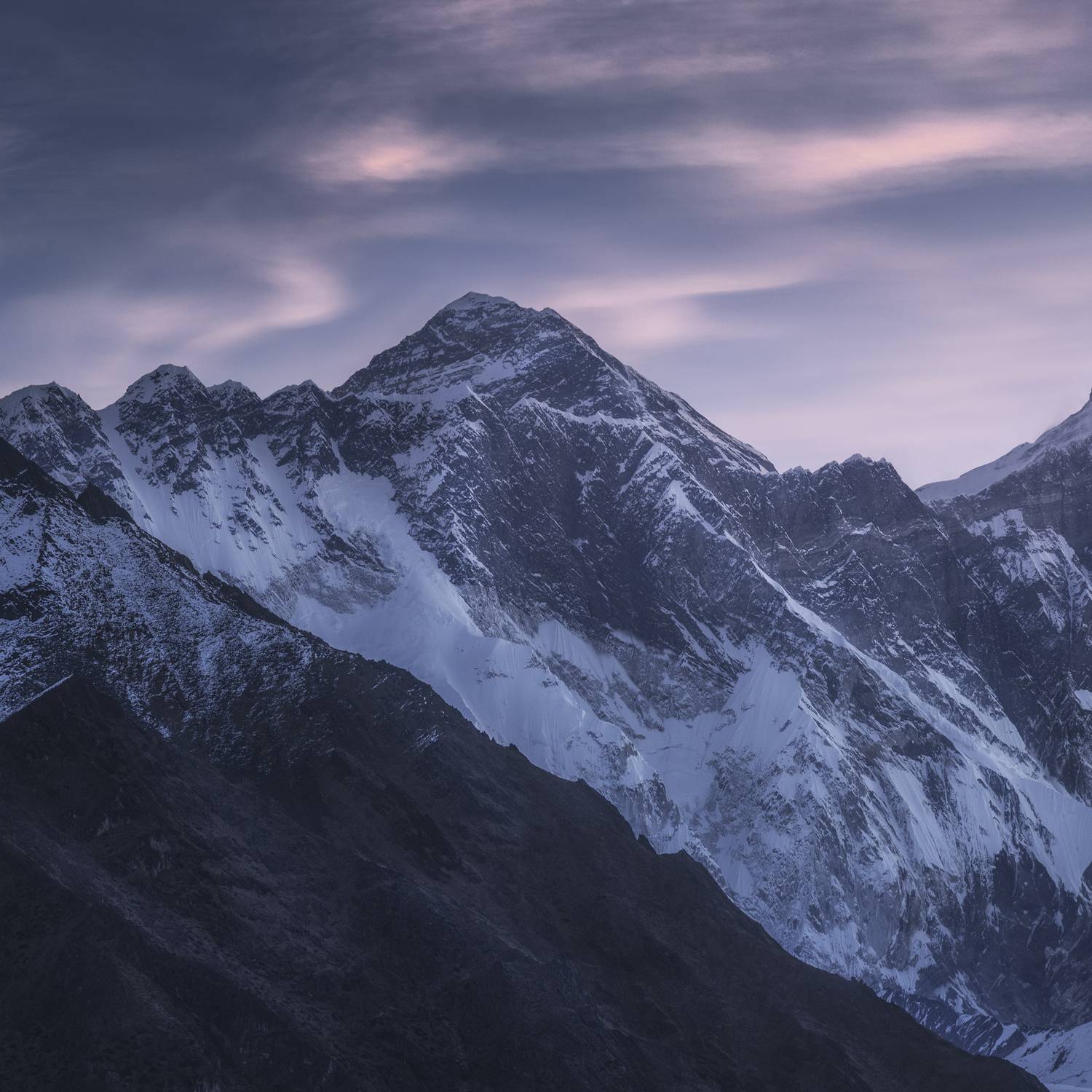 , Политова Анна