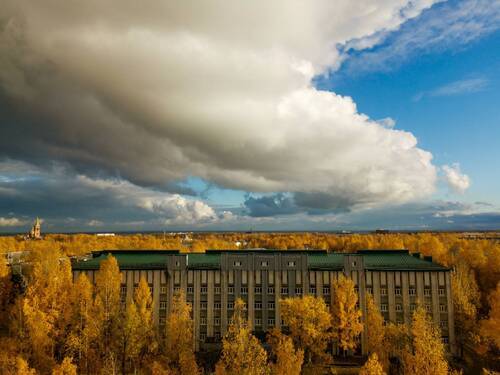 Мобильная фотография