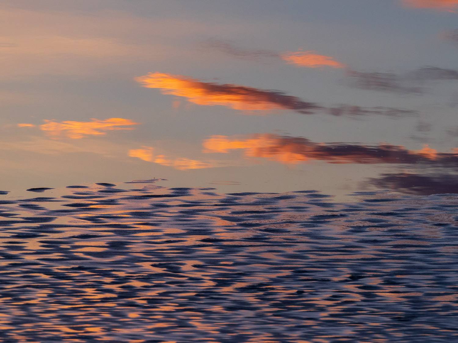 валдай, Тимофей Шутов