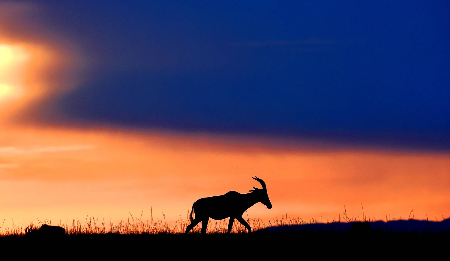 , Гудков Андрей
