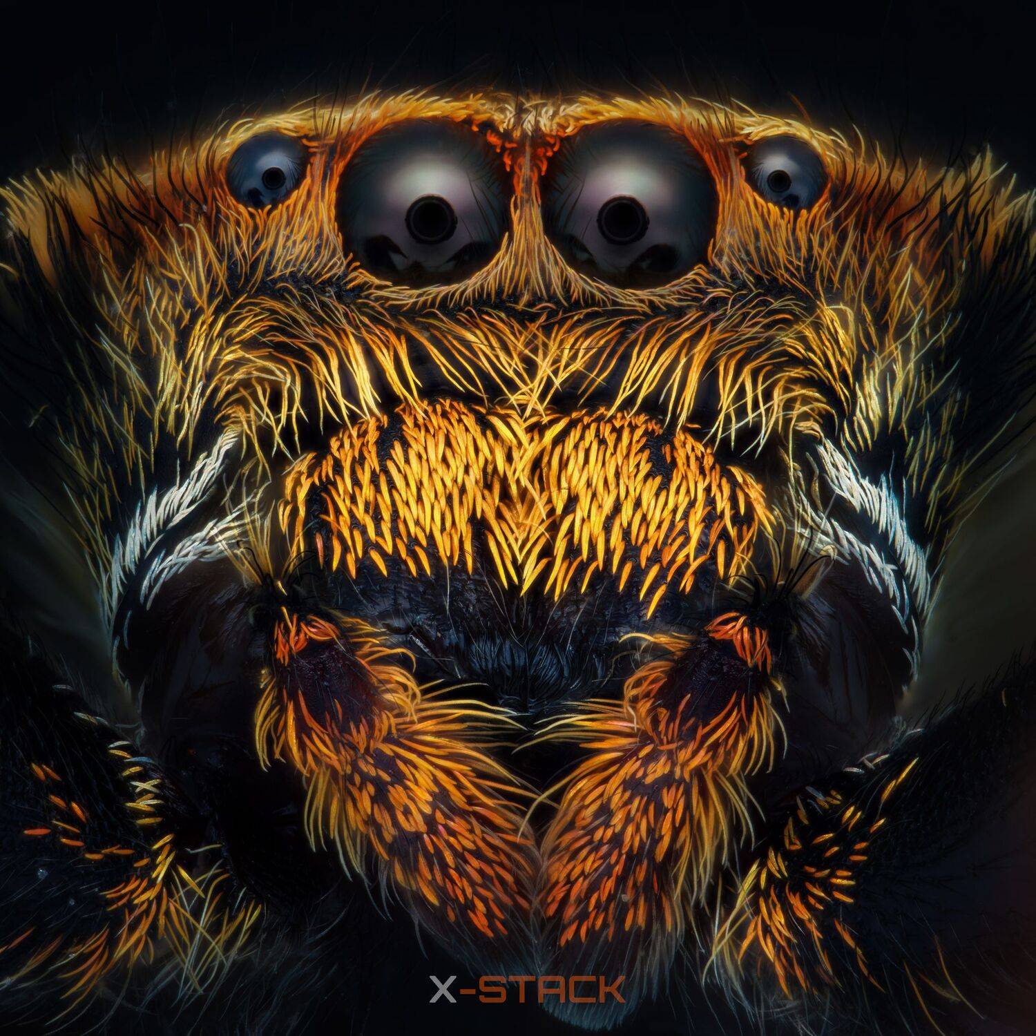 Macro, X_STACK, Tran Anh Tuan