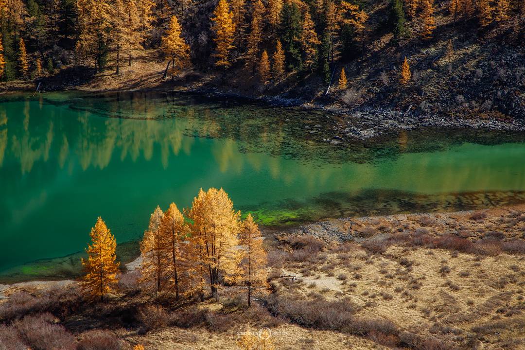 , Станислав Аристов