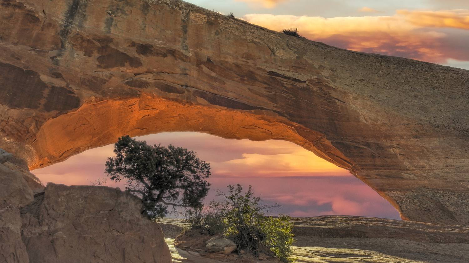 , Евгений Шварцман