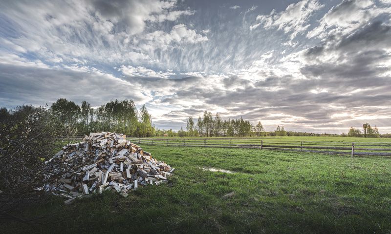 Торбеево Весеннее... фото превью