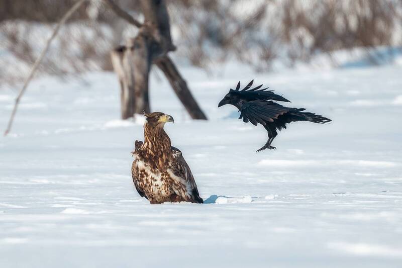Особые отношения фото превью