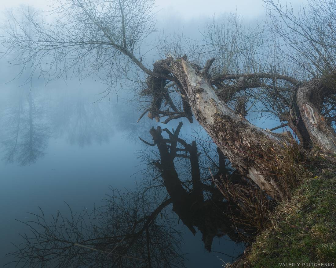 , Валерий Притченко