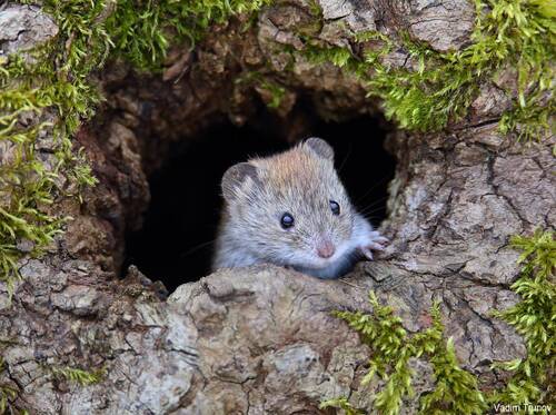 А за окном уже весна!