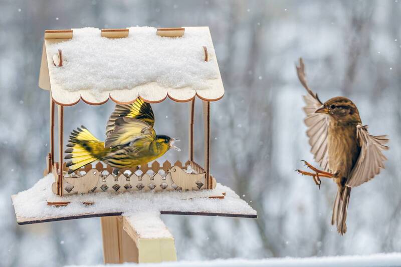 Занято... фото превью