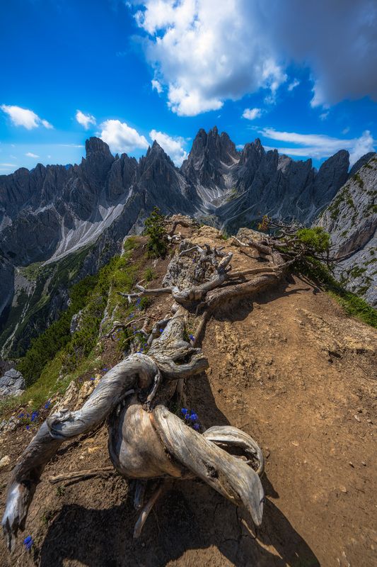 Dolomiti, Landscape, Nikon  фото превью