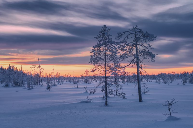 Странная семейка... фото превью
