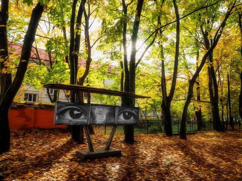 Взгляд на золотую осень. фото превью