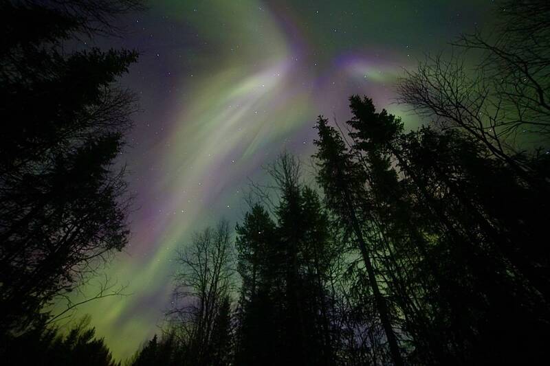 северное сивние, вспыщка, небо, ночь, звезды «Жар - птица» фото превью