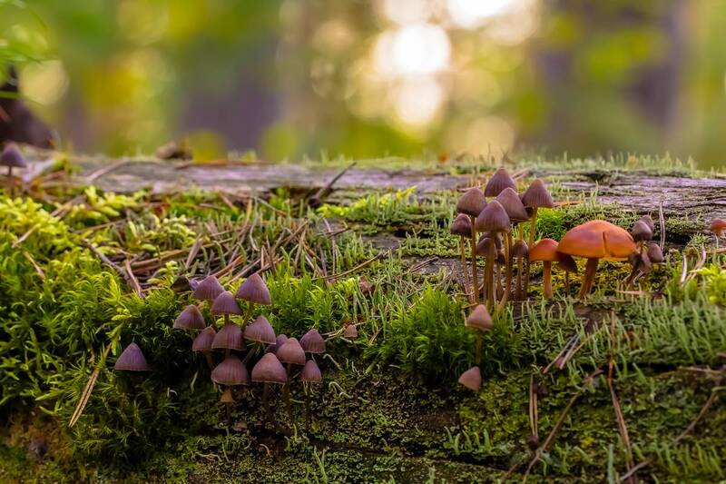 .... фото превью