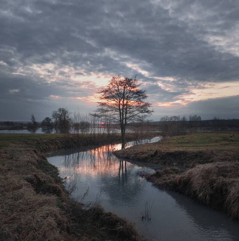 утро, весна, апрель, рассвет, алексин *** фото превью