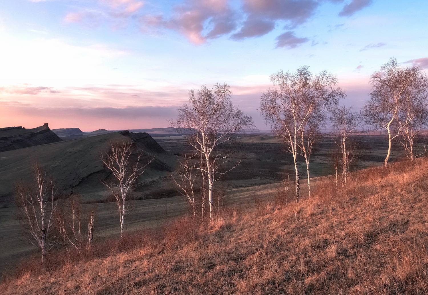 хакасия, закат, березы, склон, весна, сундуки, Марина Фомина