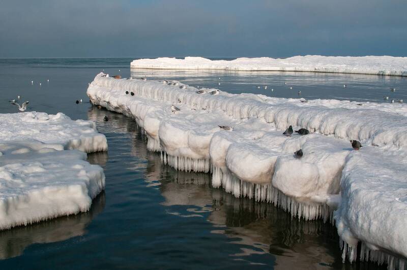 Балтика фото превью