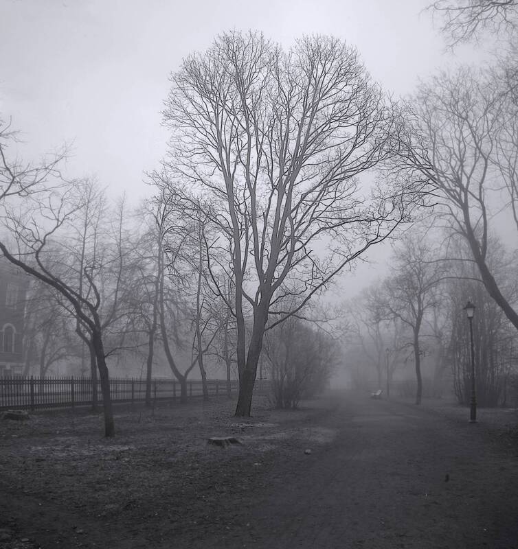 *** фото превью