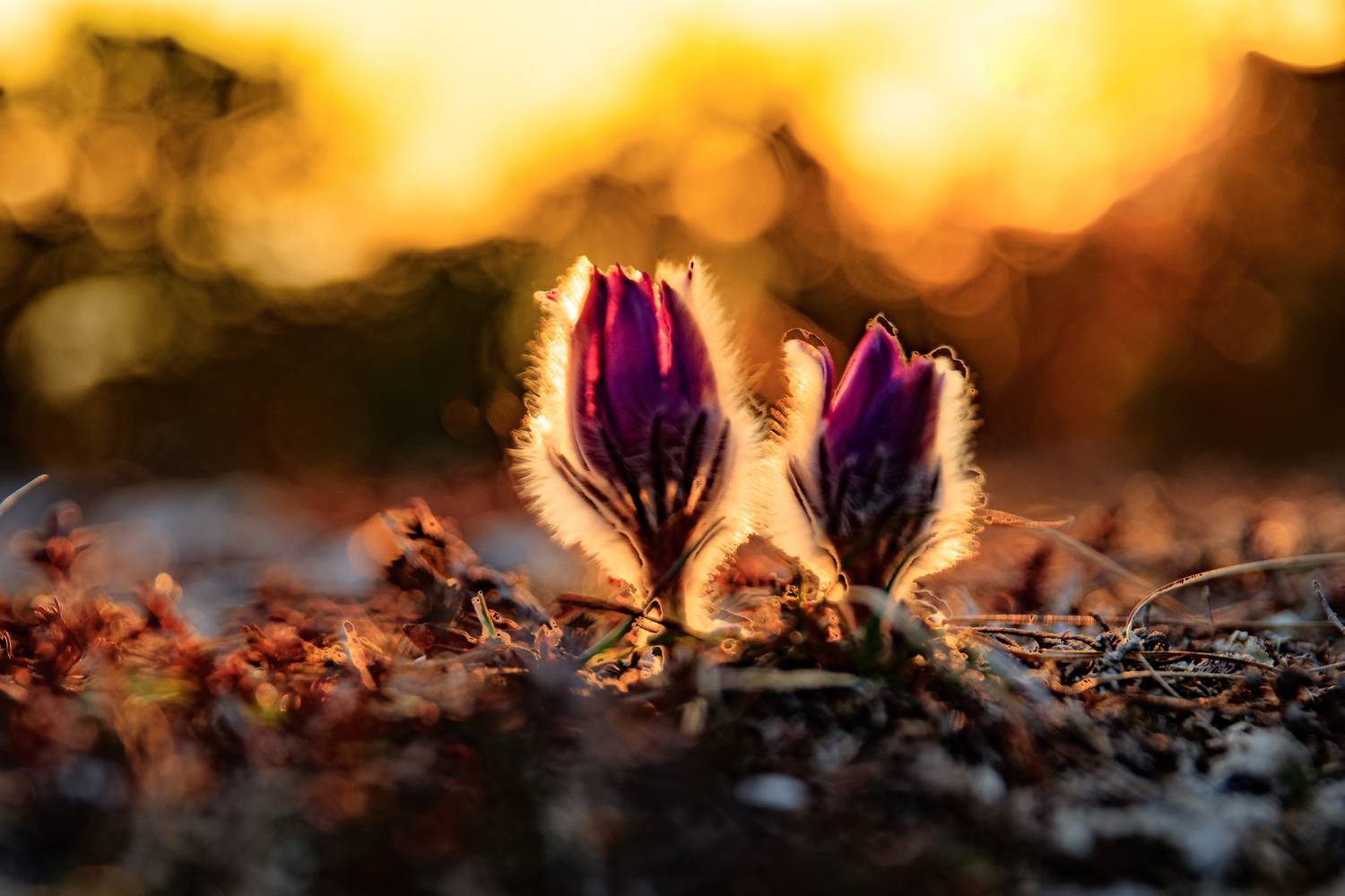 крым, Добролюбова Тамара