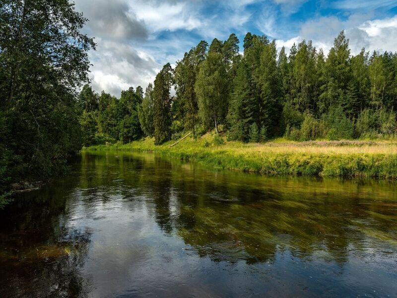 Река Оредеж фото превью