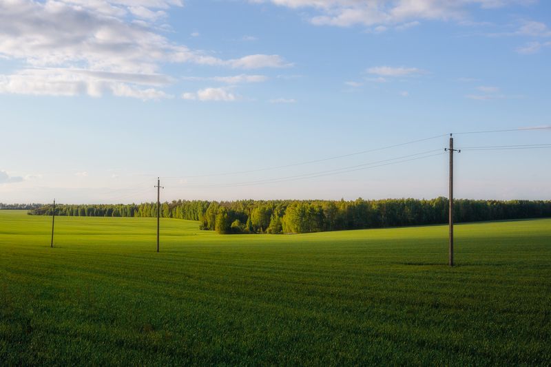 природа, пейзаж, весна, поле, весенний пейзаж, Тульская область Весна в Тульской области фото превью