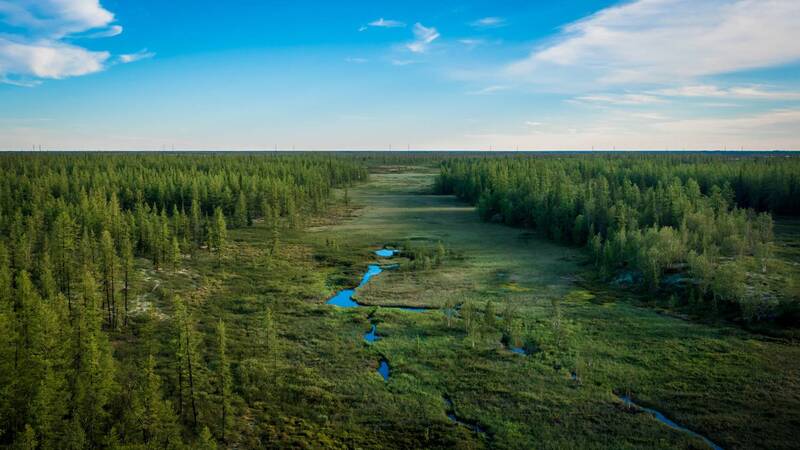 тундра, ямал, надым, крайний север, янао, лес, небо, ручей Тундра фото превью