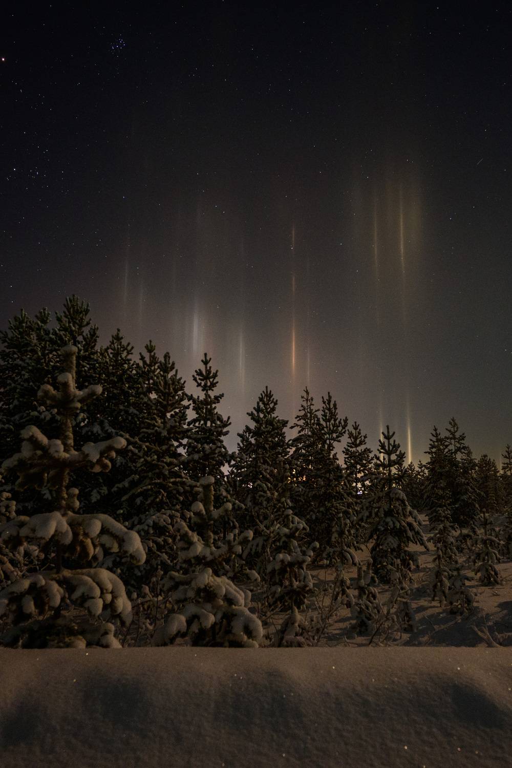 небо, зима, пейзаж, световые столбы, живем на севере, ямал, надым, янао, лес, снег, Сторожев Олег