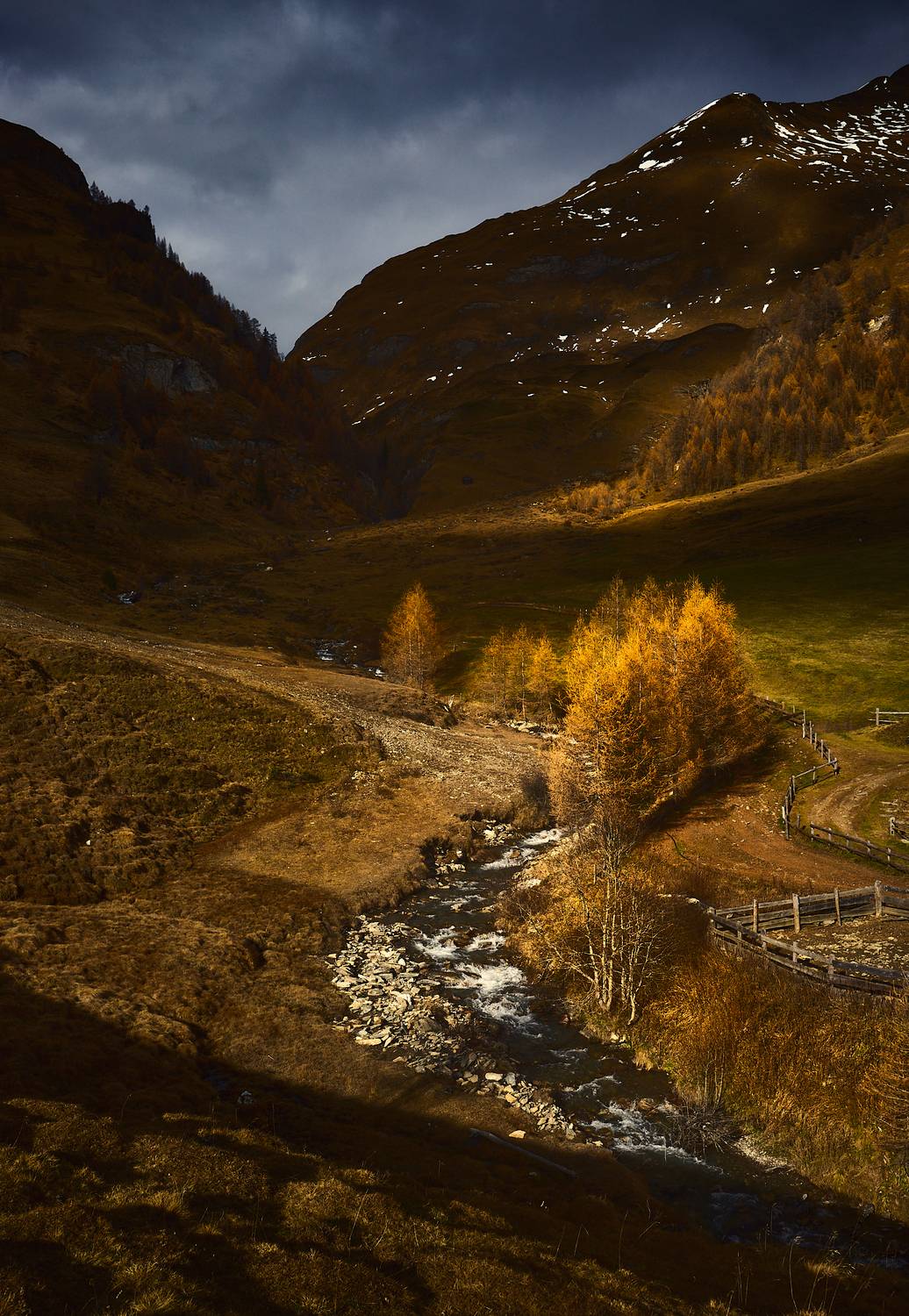 , Сергей Быков