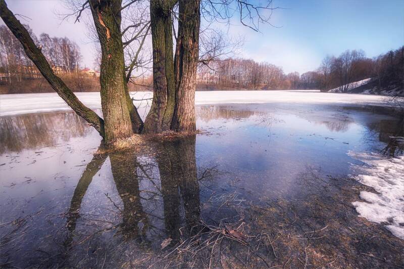 пруд, деревья, отражения, лёд Весна на Смирновском фото превью