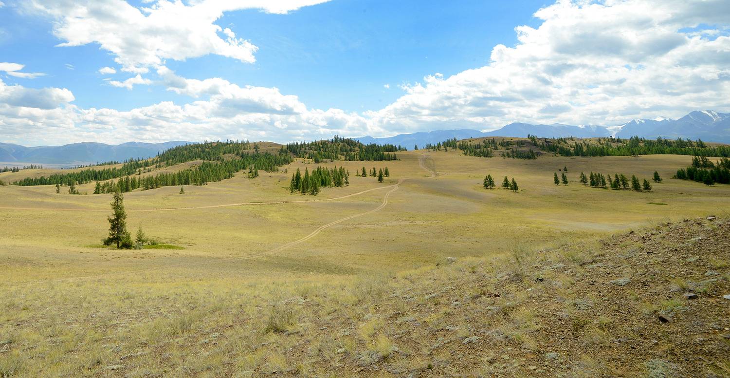 , Белоусов Михаил