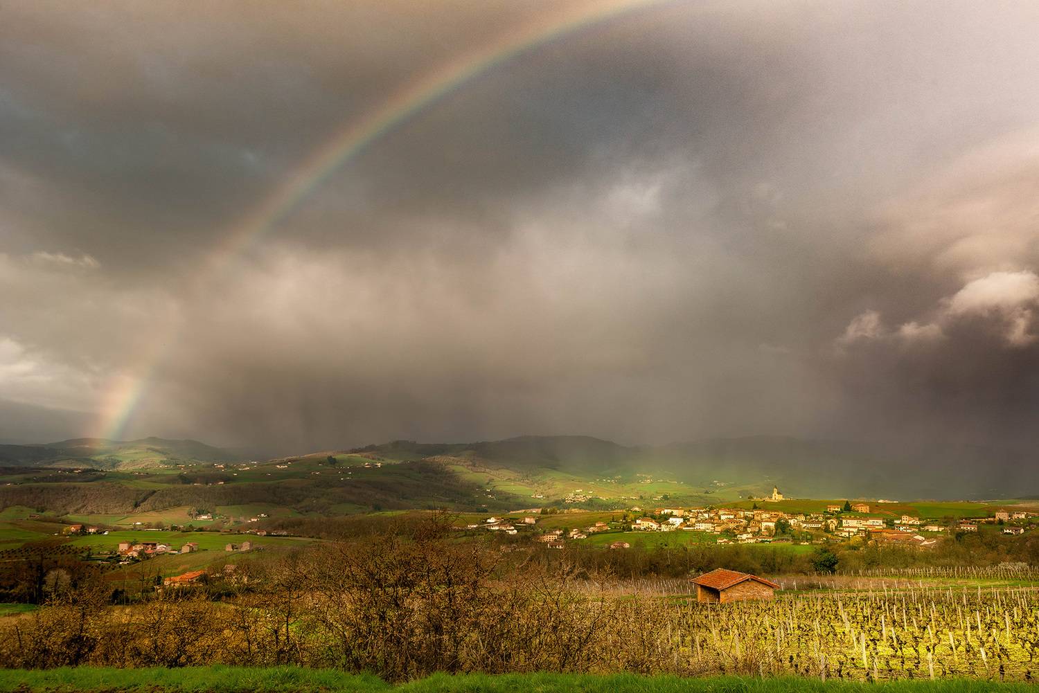 , Gasiorowski Wladyslaw