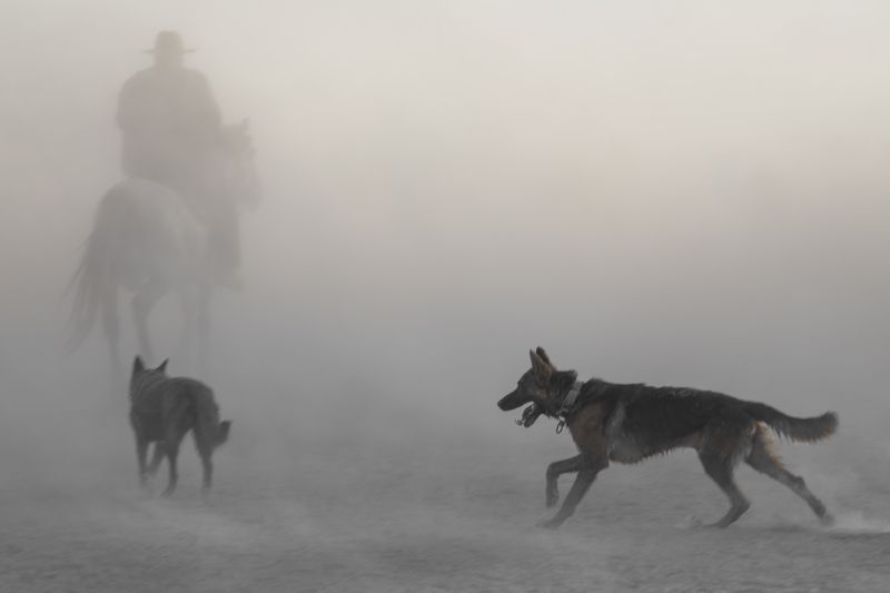 Bond in the Dust фото превью