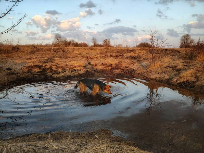 фото превью