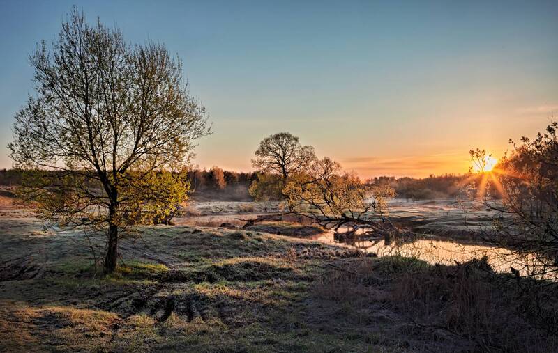 ** фото превью