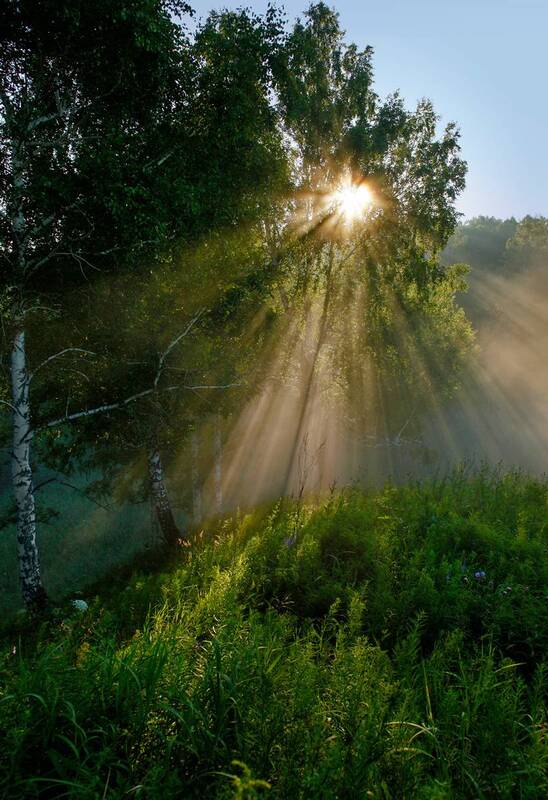 ... фото превью