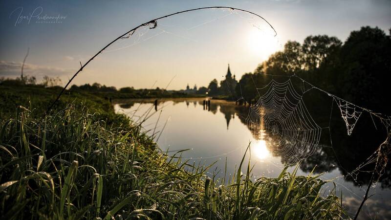 Ловчий солнца фото превью