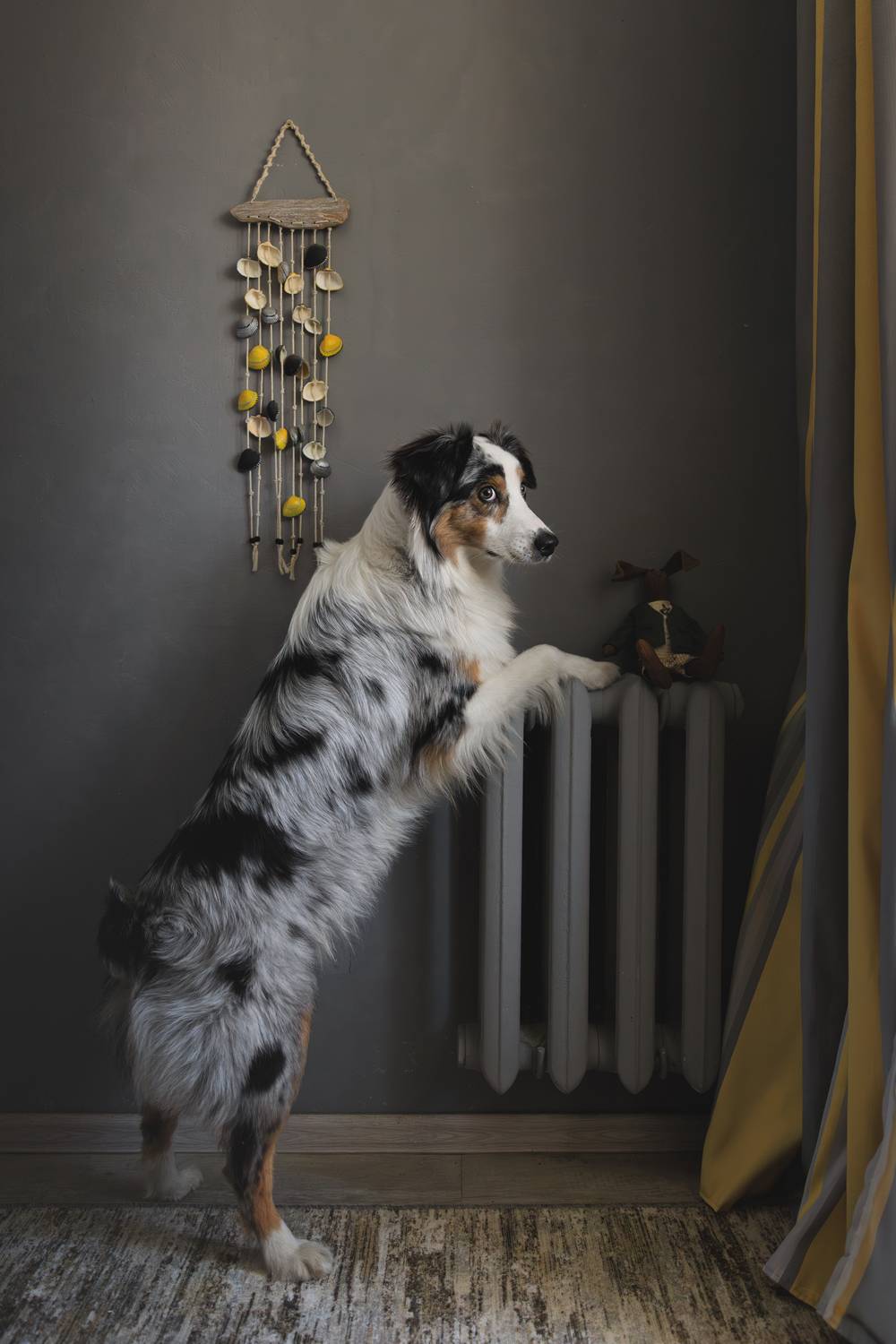 , Шерскова Мария