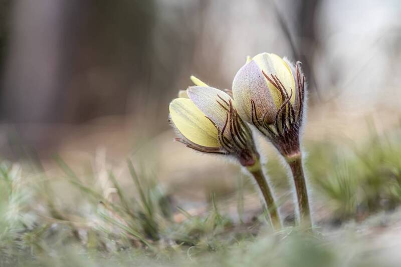 Ура! Весна! фото превью