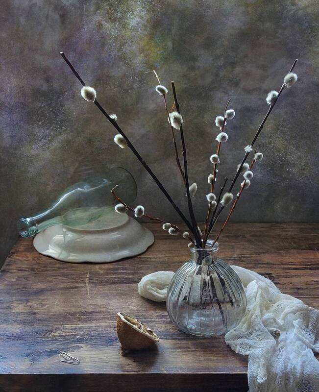 верба Верба фото превью