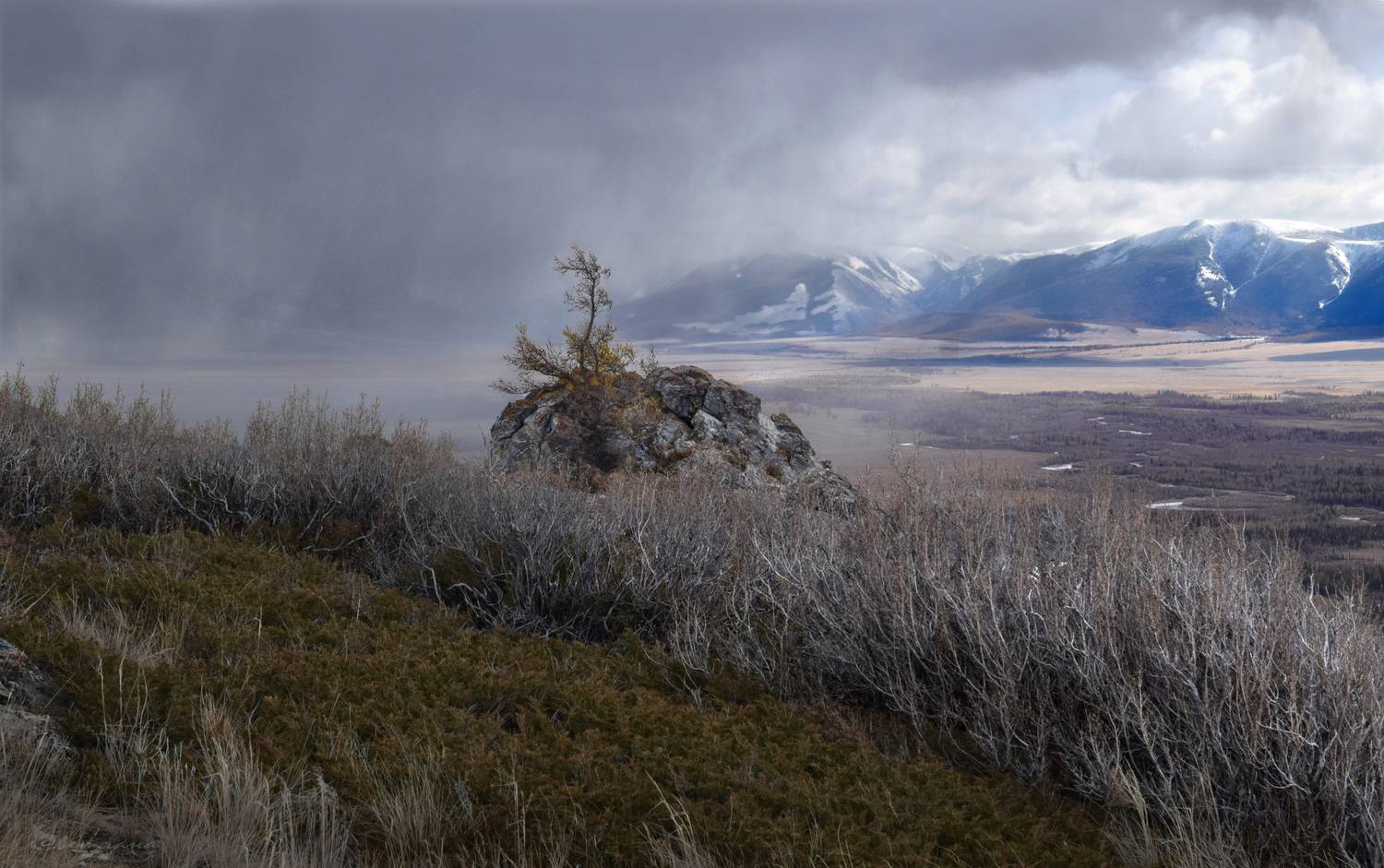 , Крат Светлана